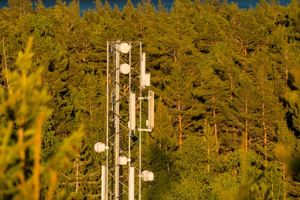 Telecom-mast i Stockholm, omringad av skog 