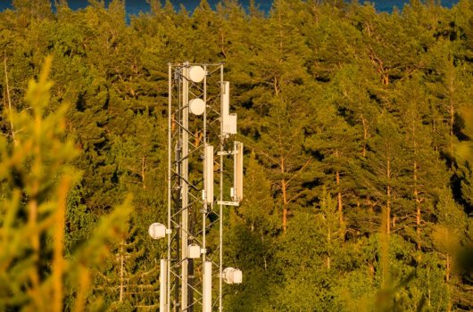 Telecom tower in Stockholm, surrounded by forest 