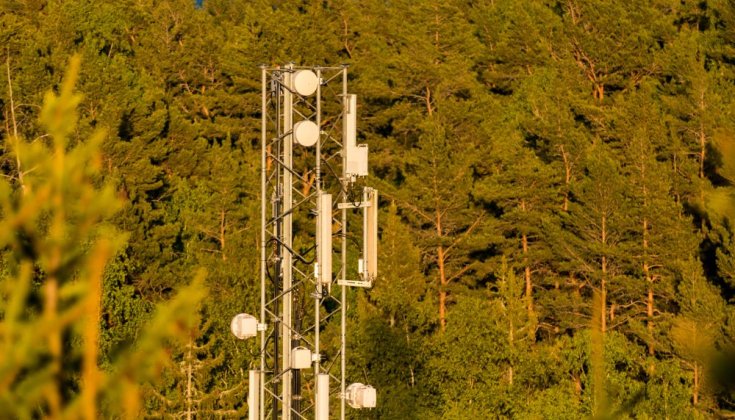 Telecom-mast i Stockholm, omringad av skog 