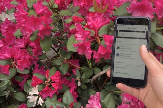 Mobil med en prototyp av Nordicoms nya digitala forskarplatform: NordMedia Network 