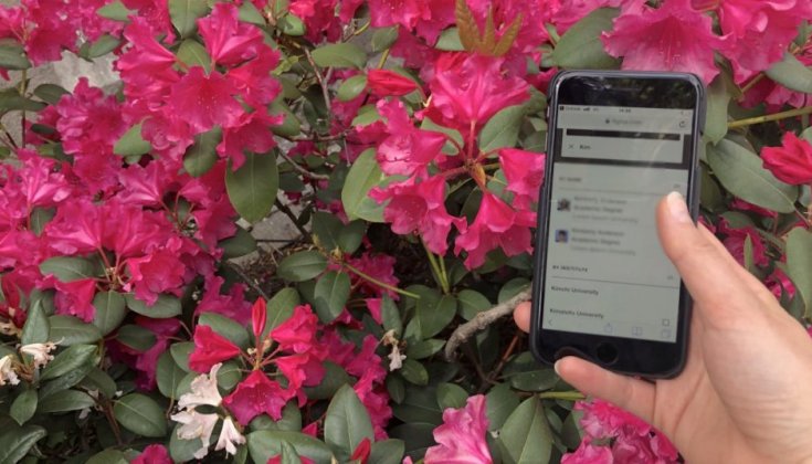 Mobil med en prototyp av Nordicoms nya digitala forskarplatform: NordMedia Network 